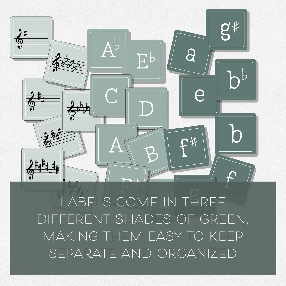Circle of Fifths Puzzle