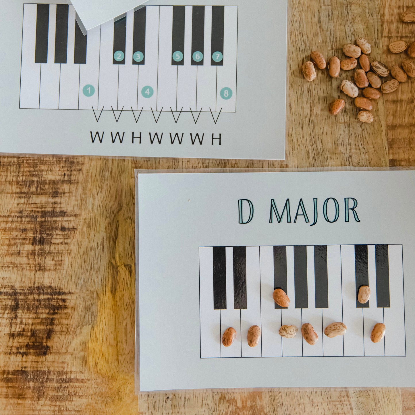 Scale + Chord Construction